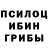Галлюциногенные грибы Cubensis sasha ivashchenko