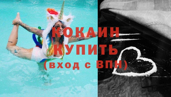 прущие грибы Армянск