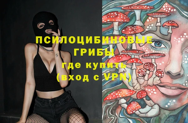 прущие грибы Армянск