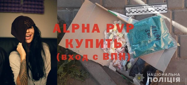 прущие грибы Армянск