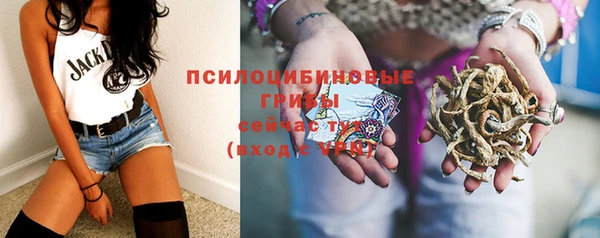 прущие грибы Армянск