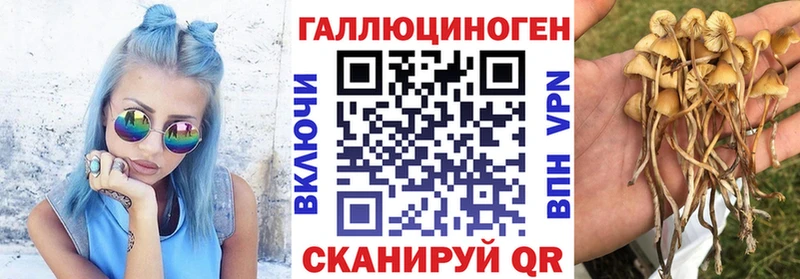 Псилоцибиновые грибы мицелий ОМГ ОМГ ONION Чудово цены наркотик
